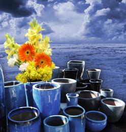 flower pots Picture